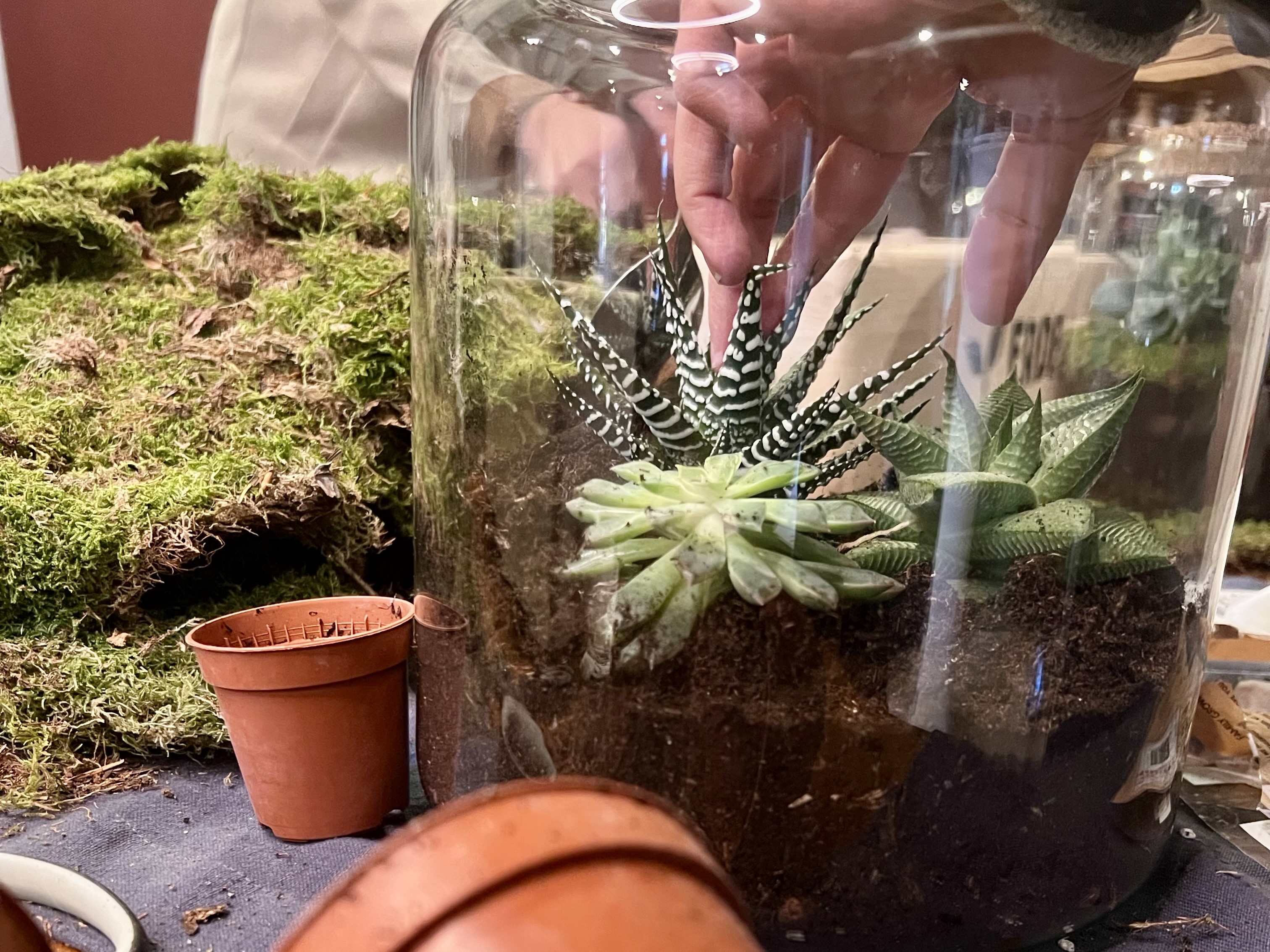 Glasgartenerlebnis 3