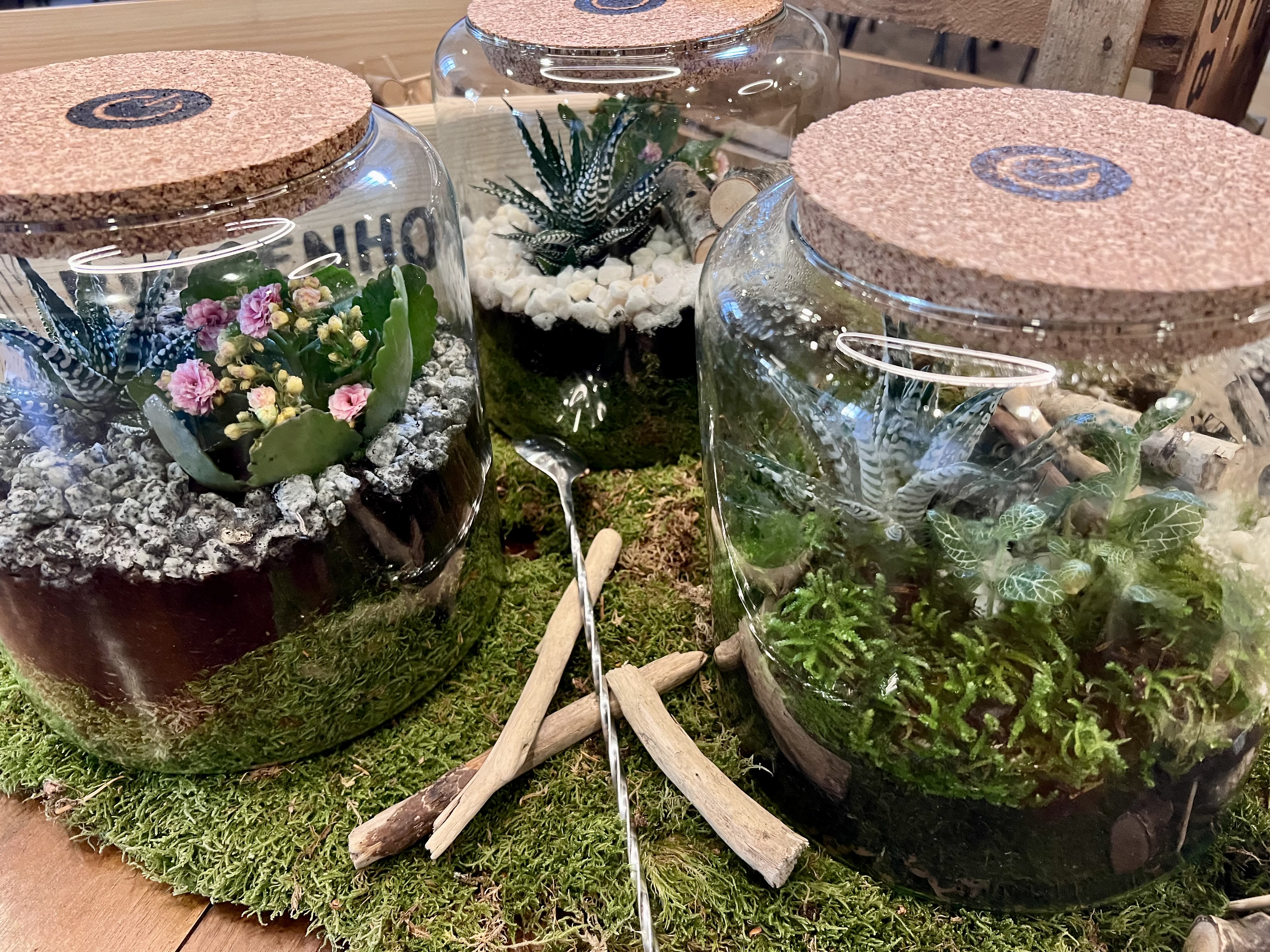 Glasgartenerlebnis 1