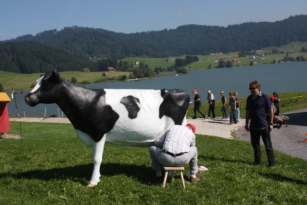 bauernhof-am-sihlsee-