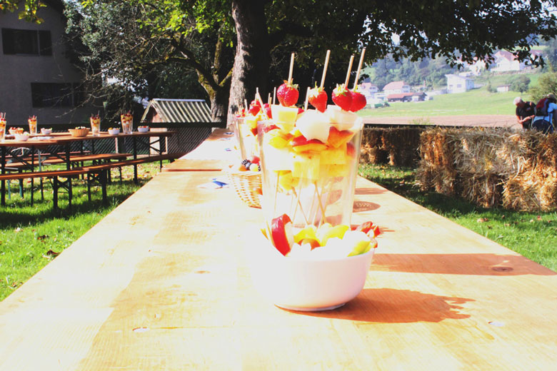 bauernhof-knonaueramt-