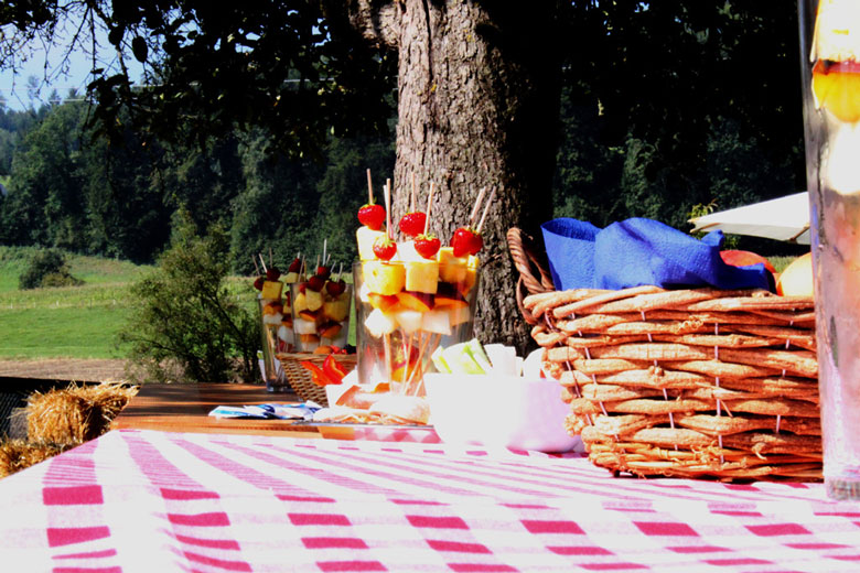 bauernhof-knonaueramt-