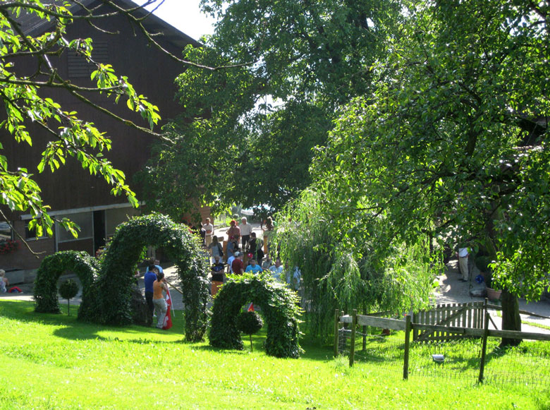 bauernhof-zentralschweiz-bezirk-kuessnacht-