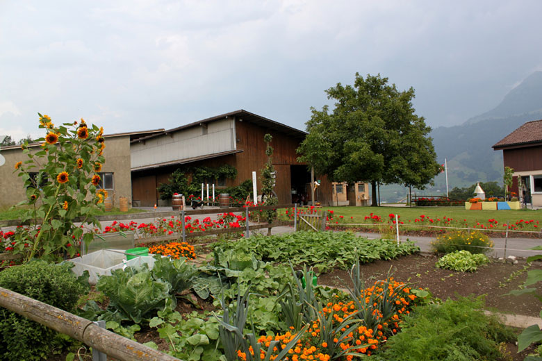 bauernhof-zentralschweiz-meggen-merlisachen-