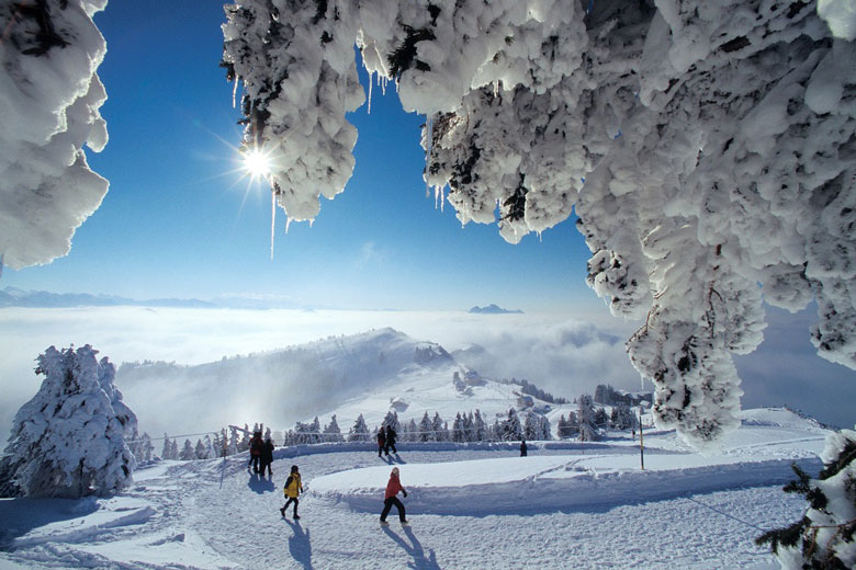 Rigi Winter