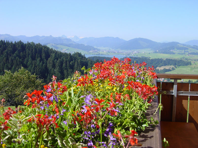 Bergrestaurant Koernlisegg  2